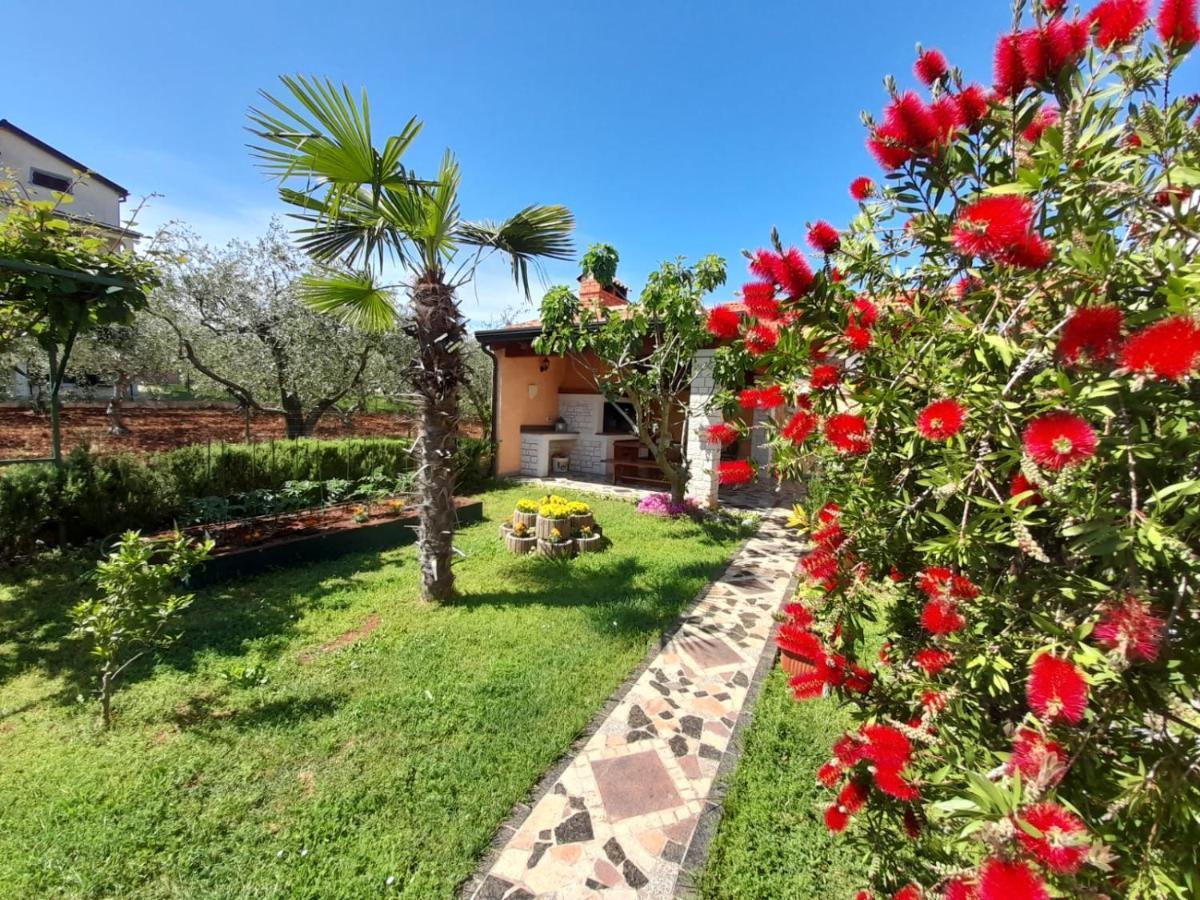 Haus Delphin Daire Poreč Dış mekan fotoğraf